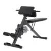 Ab & Back Trainer, Ryggbänk