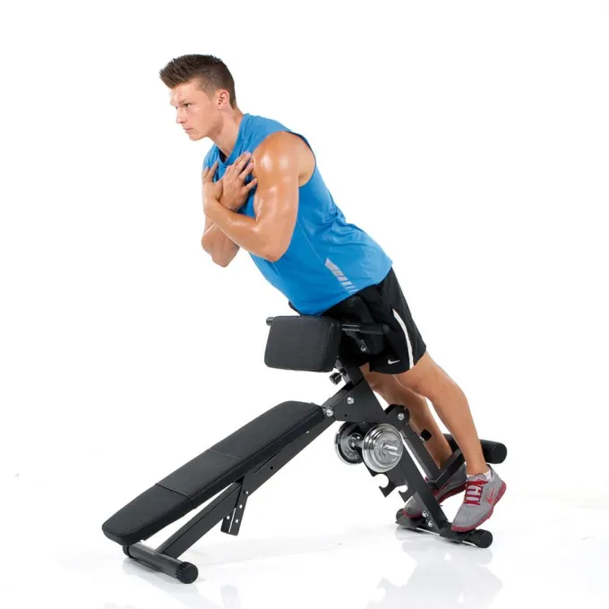 Ab & Back Trainer, Ryggbänk