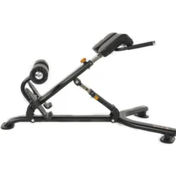 Back Extension, Ryggbänk