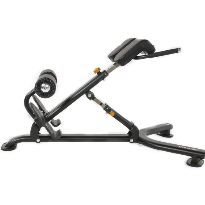 Back Extension, Ryggbänk