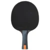 Bat Vision 4-Star, Bordtennisracket