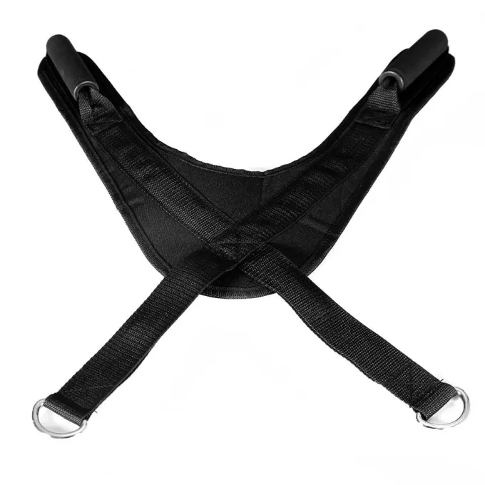 Bio Force Ab-Strap, Multigymtillbehör