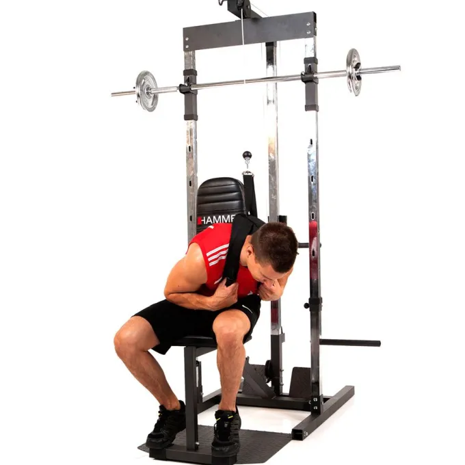 Bio Force Ab-Strap, Multigymtillbehör