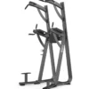 Black Chin Dip / Leg Raise Station, Benmaskin