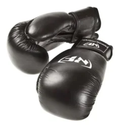 Boxing Gloves Juniors (9-12 years)