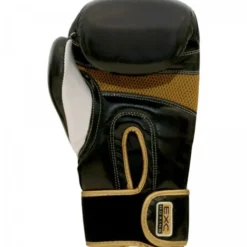 Boxningshandskar Thunder Pro