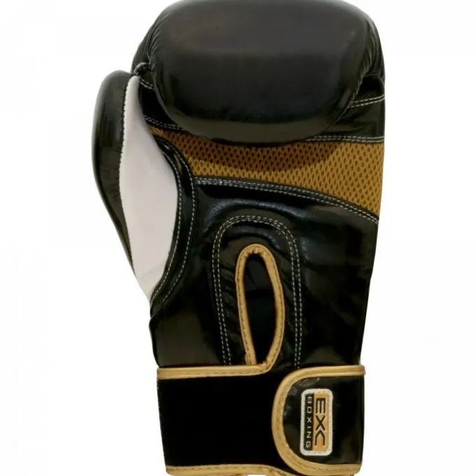Boxningshandskar Thunder Pro