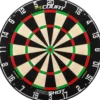 Court Proshot Dartboard