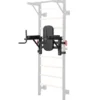Dip Station For Wall Bars