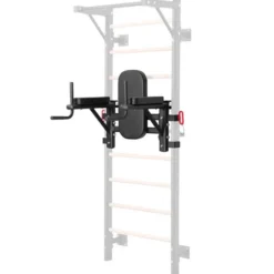 Dip Station For Wall Bars