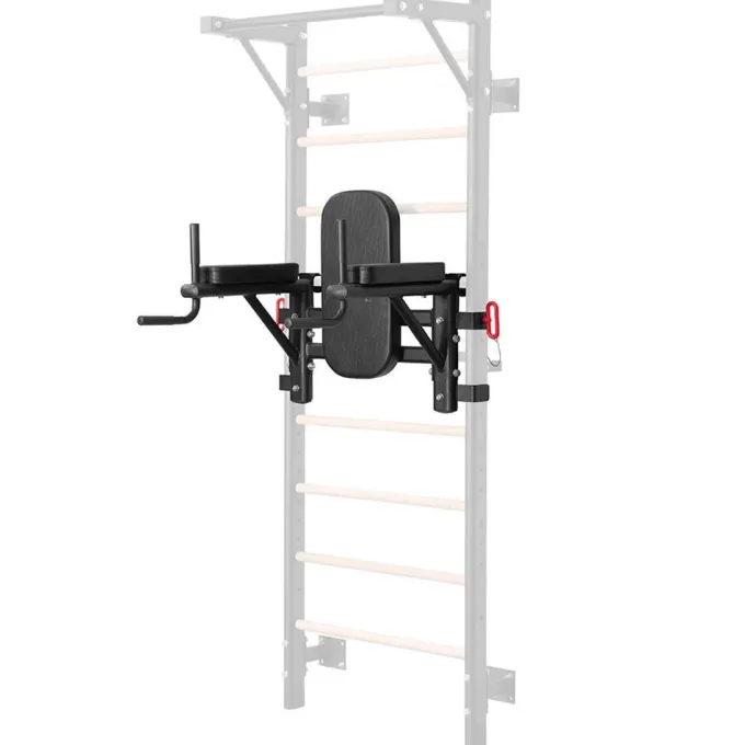 Dip Station For Wall Bars