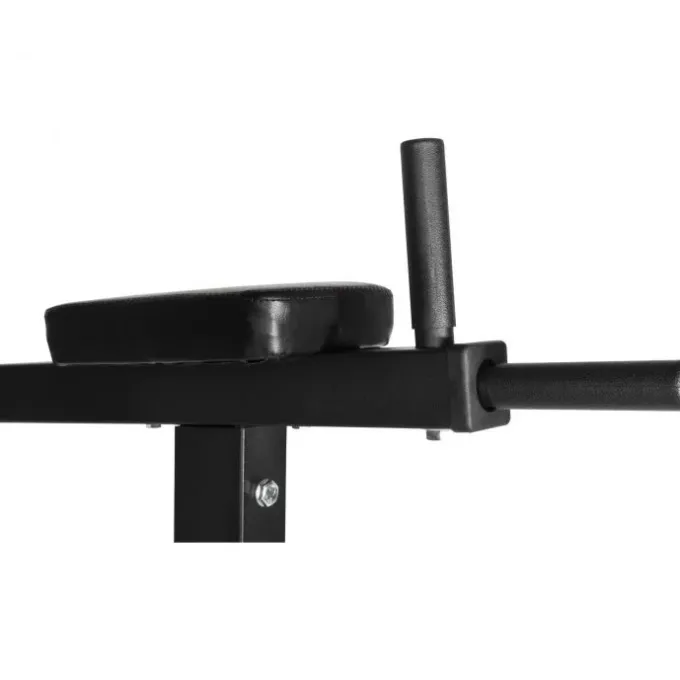 Dip-station Multi