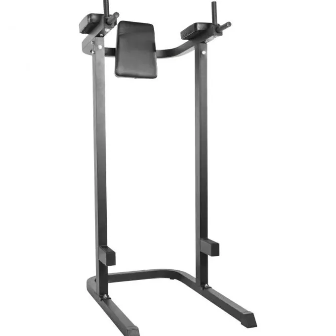 Dip-station Multi