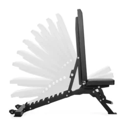 Fid Bench Pro, Träningsbänk