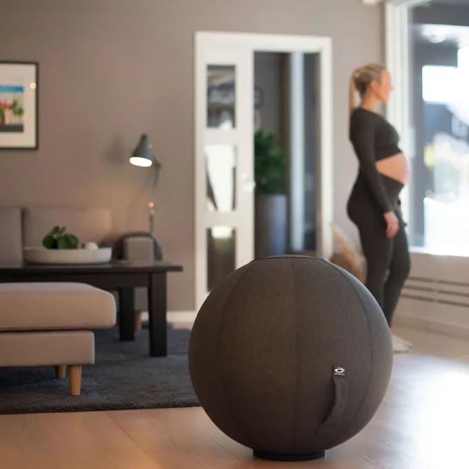 FitnessBall Cover, Gymboll