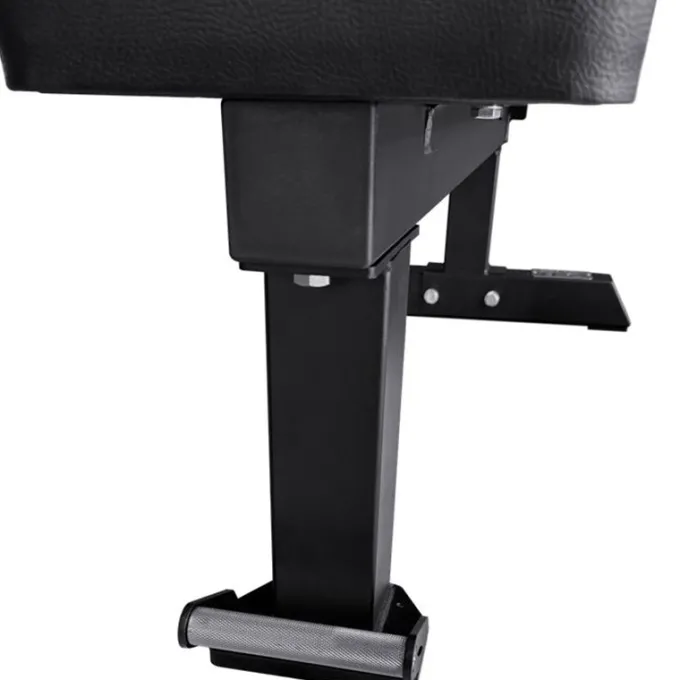 Flat Bench Gold IV, Träningsbänk