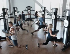 Fusion Cst, Multigym
