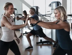 Fusion Cst, Multigym