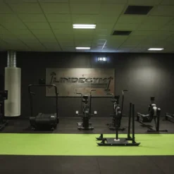 Gymsläde, Släde