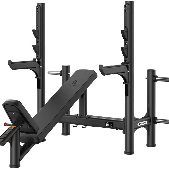 Incline Olympic Bench With Safety Bar