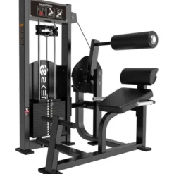 Power Series Back Extension Pin Load, Ryggmaskin