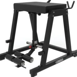 Pro Plus Reverse Hyper Extension, Ryggmaskin