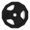 PRO Pump Disc 10 kg, Set of 2