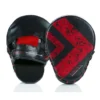 Punching Mitts