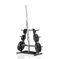 Rack For Iron Weight Plates, Ställning viktskivor