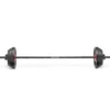 Rep Set Delta 20 kg, Pumpset
