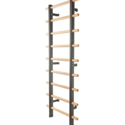 Ribbstol, Ribbstolar