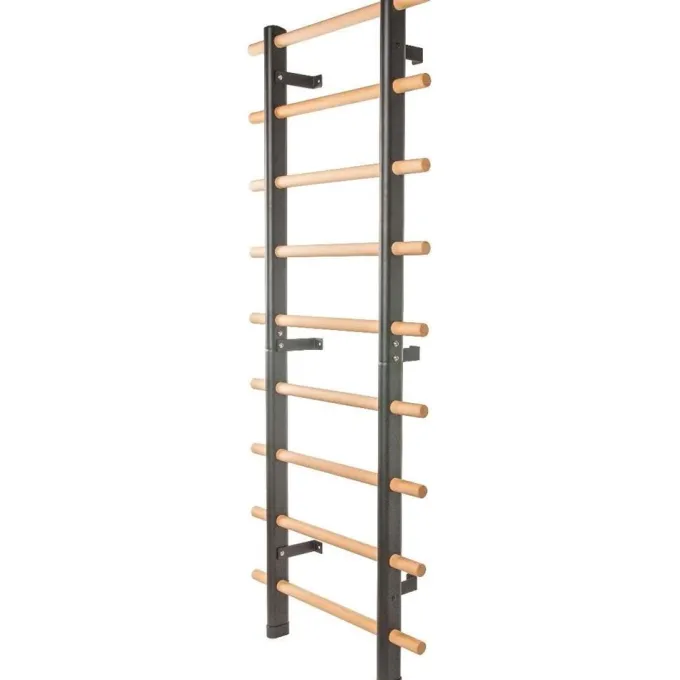 Ribbstol, Ribbstolar