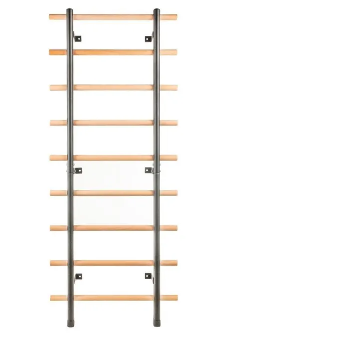 Ribbstol, Ribbstolar
