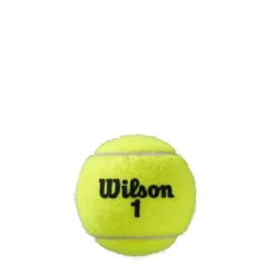 Roland Garros Clay Court, Tennisbollar