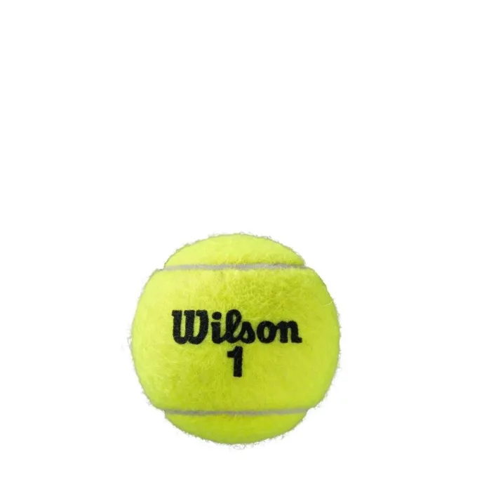 Roland Garros Clay Court, Tennisbollar