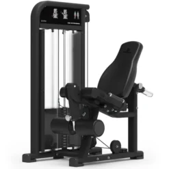 Seated Leg Extension, Benmaskin