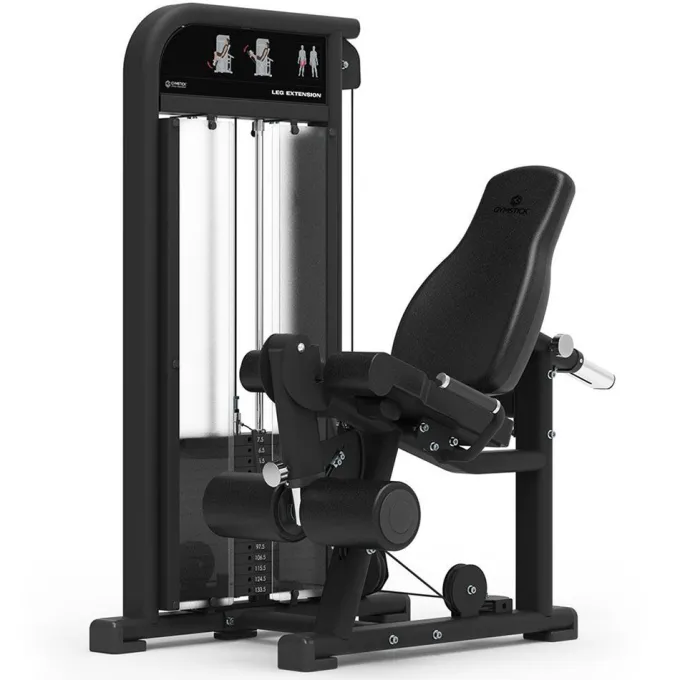 Seated Leg Extension, Benmaskin