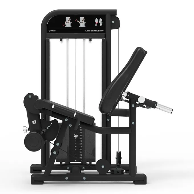 Seated Leg Extension, Benmaskin