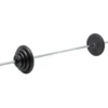 Skivstångsset 86 kg 30 mm, Skivstångsset järn