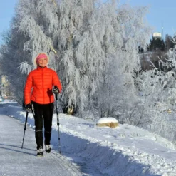Slimline Gåstav, Gångstavar