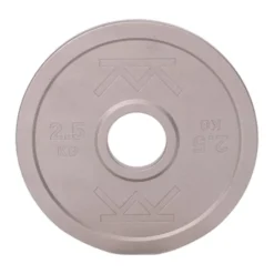 Steelplate, Viktskivor Järn