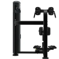 Torso Rotation It9518, Styrkemaskin Rygg