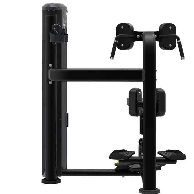 Torso Rotation It9518, Styrkemaskin Rygg