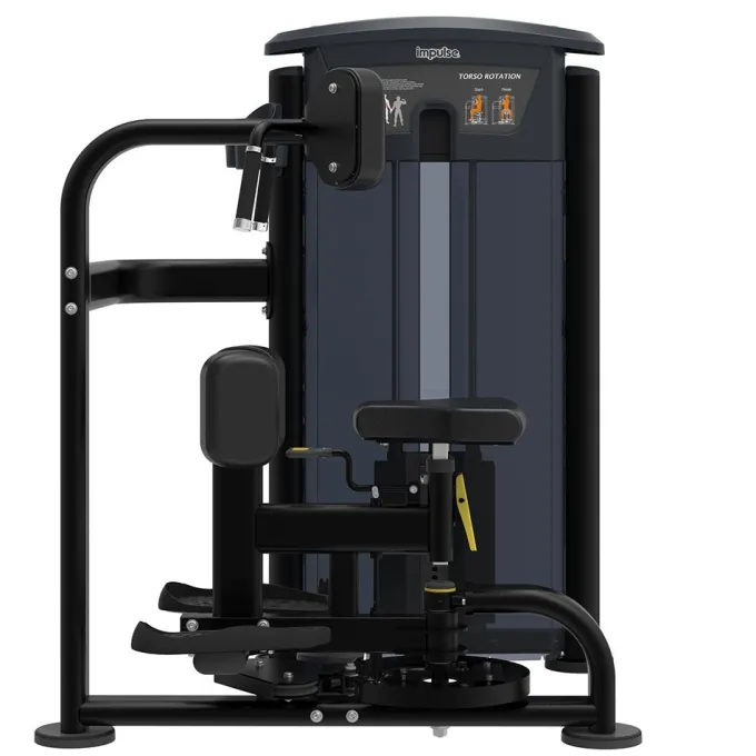 Torso Rotation It9518, Styrkemaskin Rygg