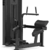 Trinity Low Back With Abdominal Pin Load, Ryggmaskin