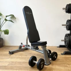 Träningsbänk Pro - Justerbar, Träningsbänk
