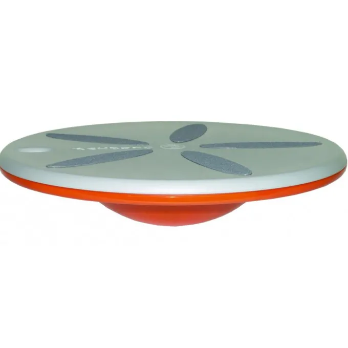 UD Balance Board, Balansbräda