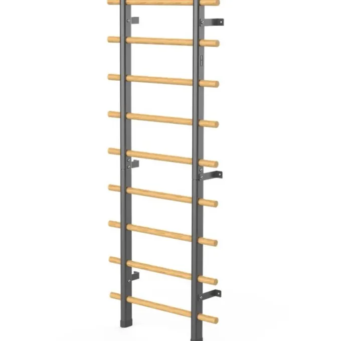 Wallbar, Ribbstol