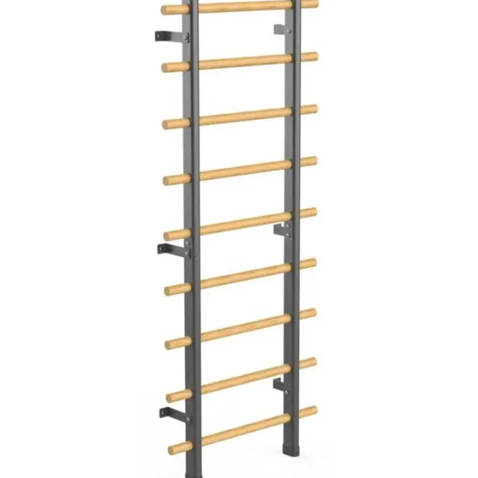Wallbar, Ribbstol