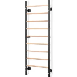 Wall Bars Wood & Steel